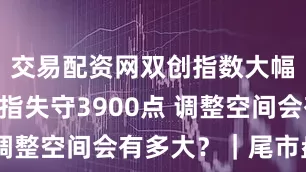 交易配资网双创指数大幅下挫 沪指失守3900点 调整空间会有多大?|尾市盘点