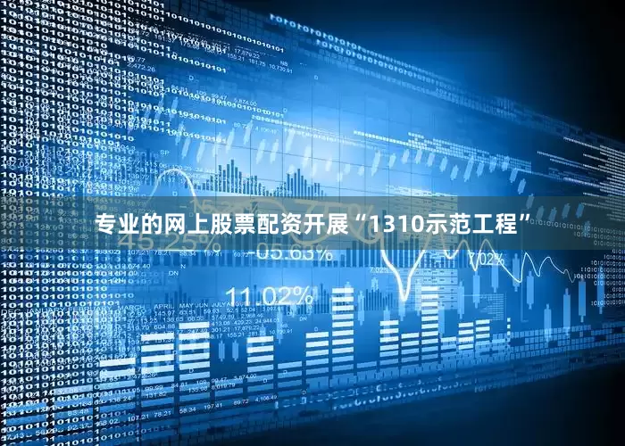 专业的网上股票配资开展“1310示范工程”