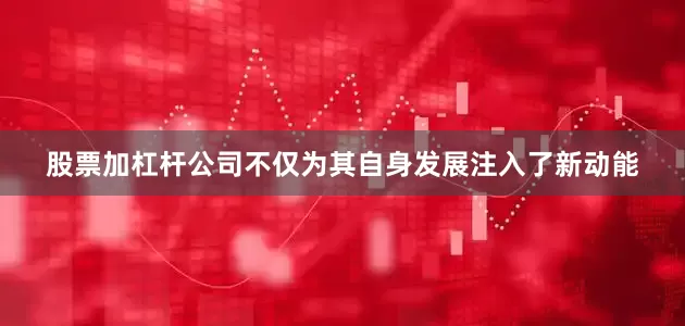 股票加杠杆公司不仅为其自身发展注入了新动能