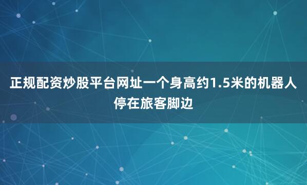 正规配资炒股平台网址一个身高约1.5米的机器人停在旅客脚边