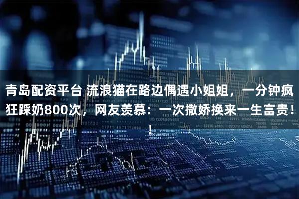 青岛配资平台 流浪猫在路边偶遇小姐姐，一分钟疯狂踩奶800次，网友羡慕：一次撒娇换来一生富贵！