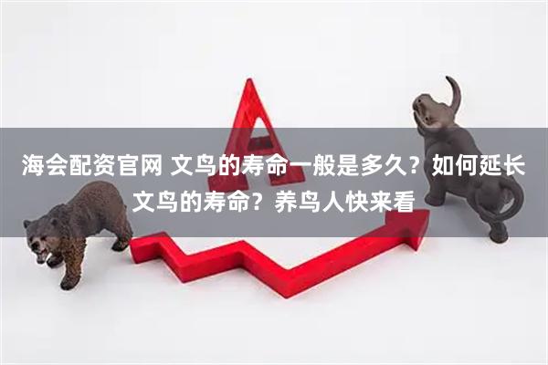 海会配资官网 文鸟的寿命一般是多久？如何延长文鸟的寿命？养鸟人快来看