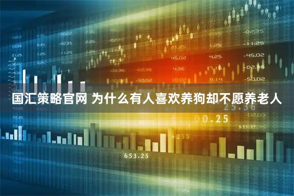 国汇策略官网 为什么有人喜欢养狗却不愿养老人