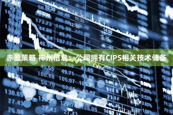 赤盈策略 神州信息：公司拥有CIPS相关技术储备