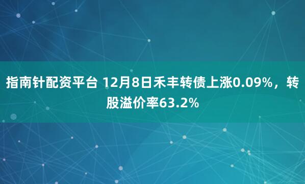 指南针配资平台 12月8日禾丰转债上涨0.09%，转股溢价率63.2%