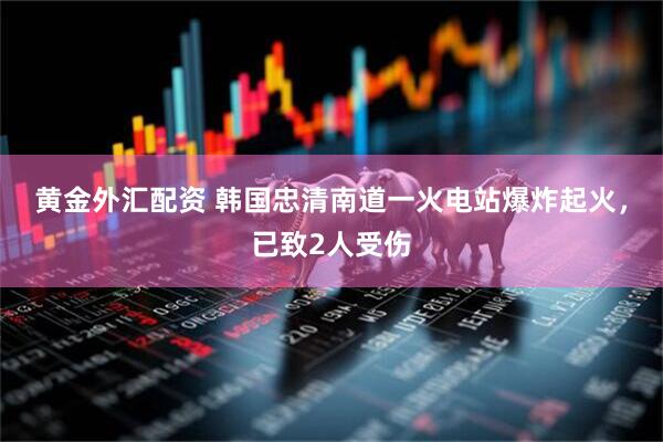 黄金外汇配资 韩国忠清南道一火电站爆炸起火，已致2人受伤